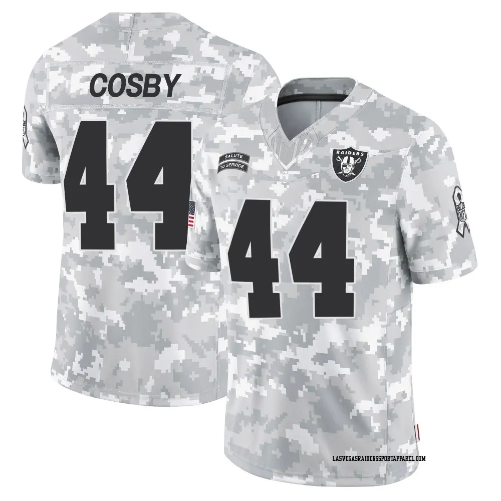 Limited Arctic Camo Men's Bryce Cosby Las Vegas Raiders 2024 Salute to Service Jersey