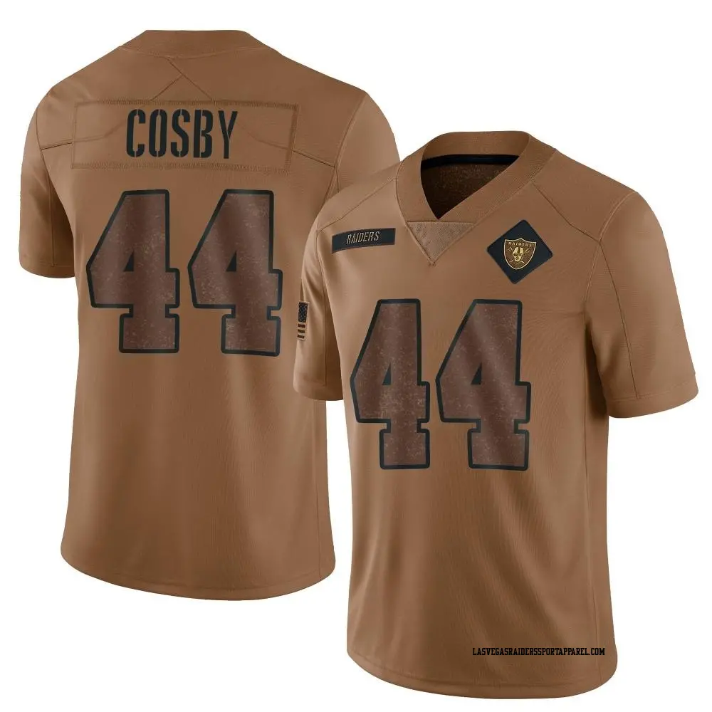 Limited Brown Men's Bryce Cosby Las Vegas Raiders 2023 Salute To Service Jersey